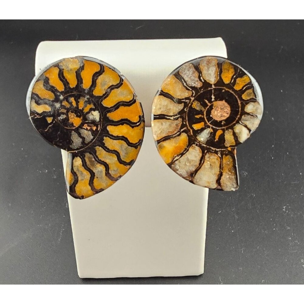 Rare Vendome Ammonite Fossil Clip-On Earrings Yellow & Brown Vintage READ